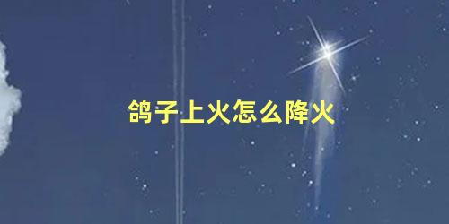 鸽子上火怎么降火