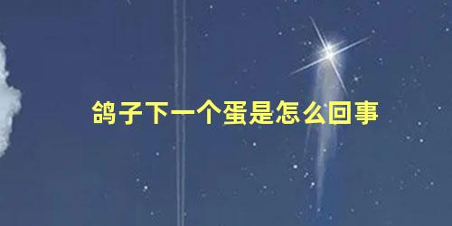 鸽子下一个蛋是怎么回事