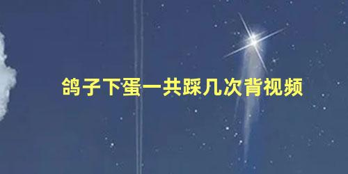 鸽子下蛋一共踩几次背视频