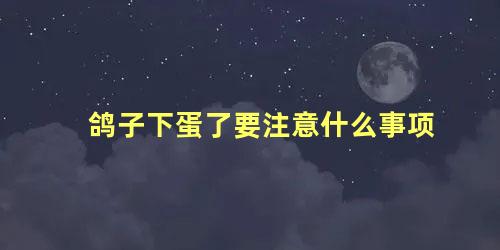 鸽子下蛋了要注意什么事项