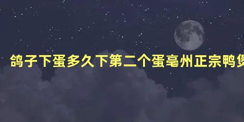 鸽子下蛋多久下第二个蛋亳州正宗鸭煲