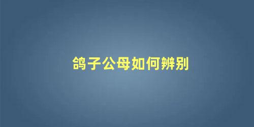鸽子公母如何辨别