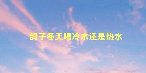 鸽子冬天喝冷水还是热水