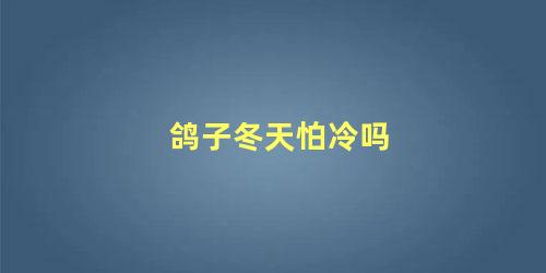 鸽子冬天怕冷吗