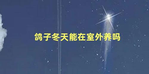 鸽子冬天能在室外养吗