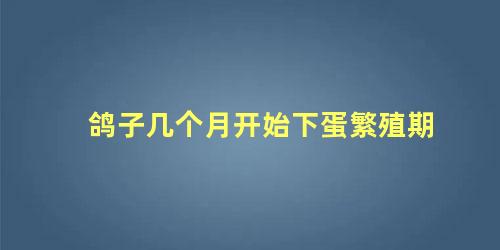鸽子几个月开始下蛋繁殖期