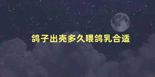 鸽子出壳多久喂鸽乳合适