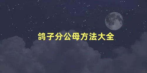 鸽子分公母方法大全