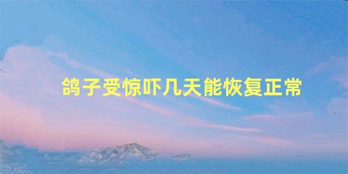 鸽子受惊吓几天能恢复正常