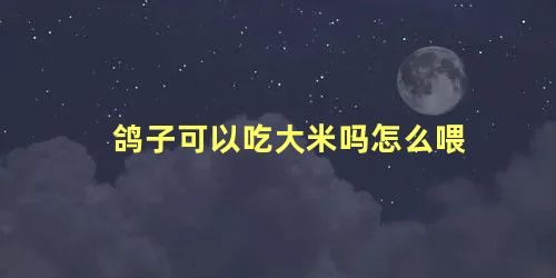 鸽子可以吃大米吗怎么喂