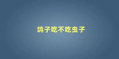 鸽子吃不吃虫子