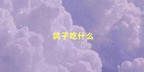 鸽子吃什么