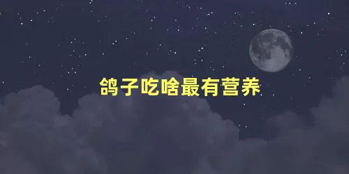 鸽子吃啥最有营养
