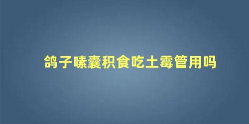 鸽子嗉囊积食吃土霉管用吗