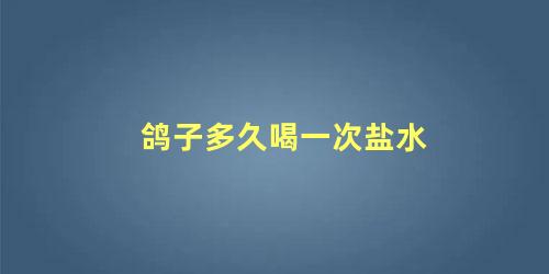 鸽子多久喝一次盐水