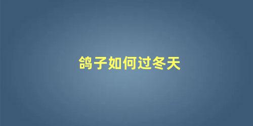 鸽子如何过冬天