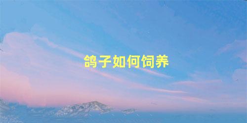 鸽子如何饲养