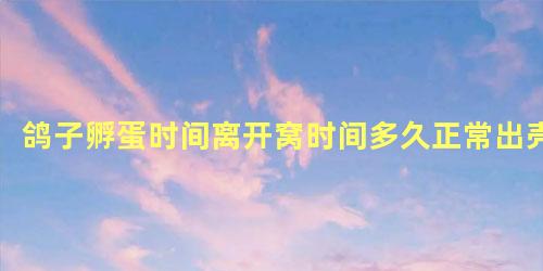 鸽子孵蛋时间离开窝时间多久正常出壳