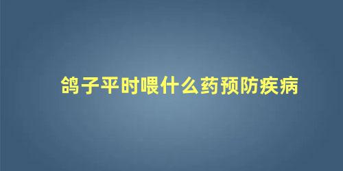 鸽子平时喂什么药预防疾病