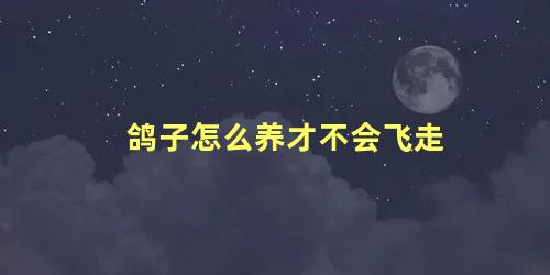 鸽子怎么养才不会飞走