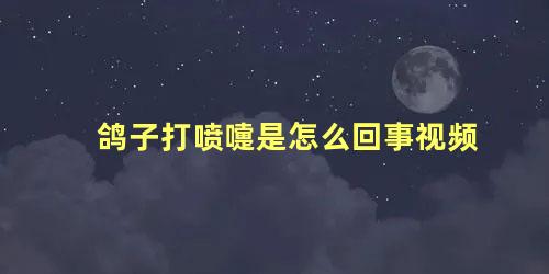 鸽子打喷嚏是怎么回事视频