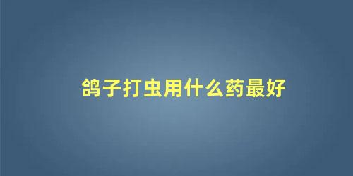 鸽子打虫用什么药最好