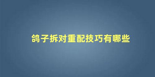 鸽子拆对重配技巧有哪些
