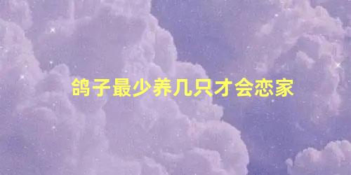鸽子最少养几只才会恋家