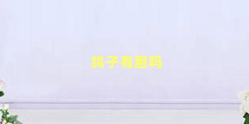 鸽子有胆吗