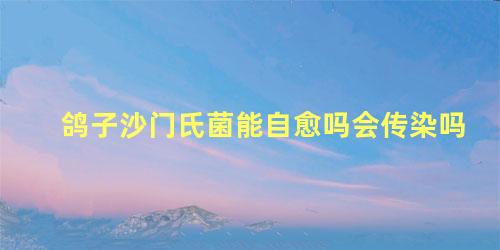 鸽子沙门氏菌能自愈吗会传染吗