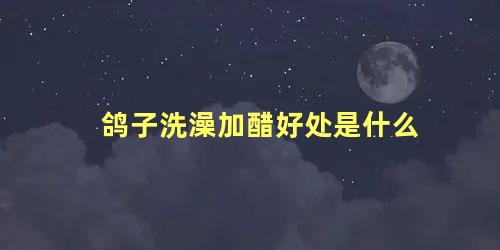 鸽子洗澡加醋好处是什么