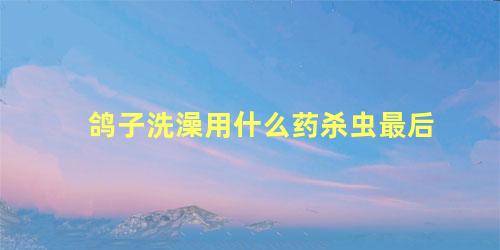 鸽子洗澡用什么药杀虫最后