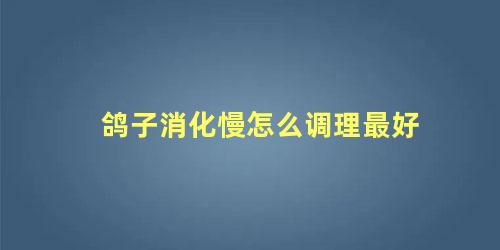 鸽子消化慢怎么调理最好