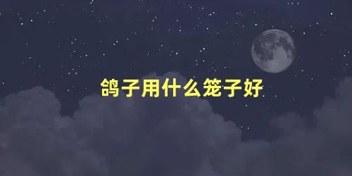 鸽子用什么笼子好