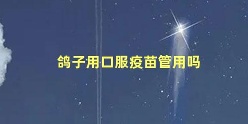 鸽子用口服疫苗管用吗
