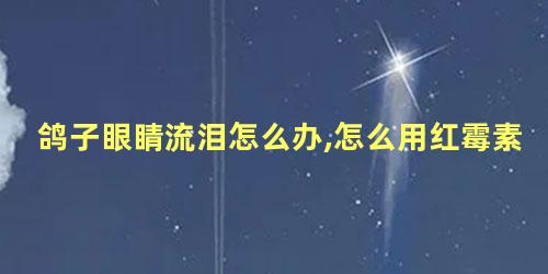 鸽子眼睛流泪怎么办,怎么用红霉素