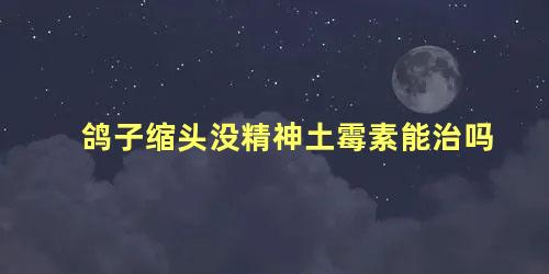 鸽子缩头没精神土霉素能治吗