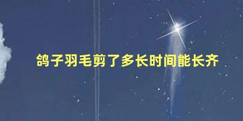 鸽子羽毛剪了多长时间能长齐
