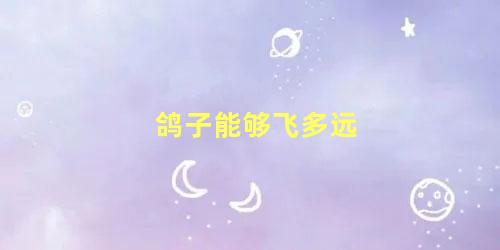 鸽子能够飞多远