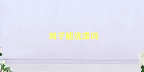 鸽子能洗澡吗