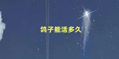 鸽子能活多久