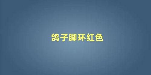 鸽子脚环红色
