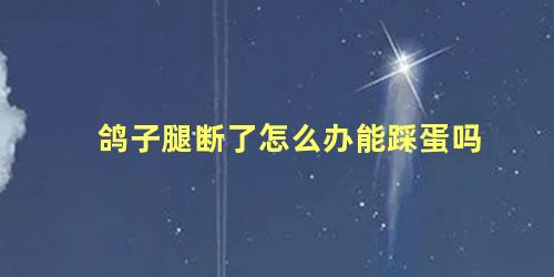 鸽子腿断了怎么办能踩蛋吗