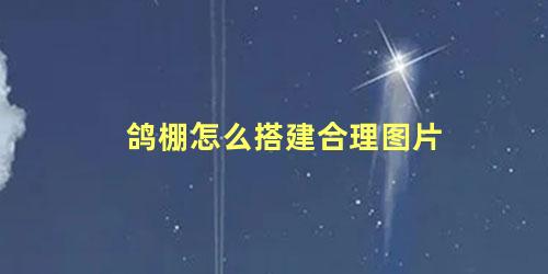 鸽棚怎么搭建合理图片
