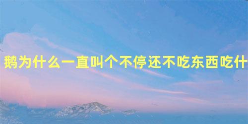 鹅为什么一直叫个不停还不吃东西吃什么药好