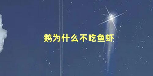 鹅为什么不吃鱼虾