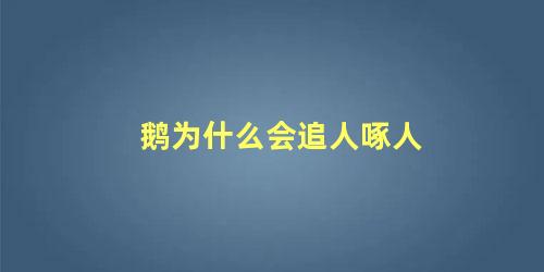 鹅为什么会追人啄人
