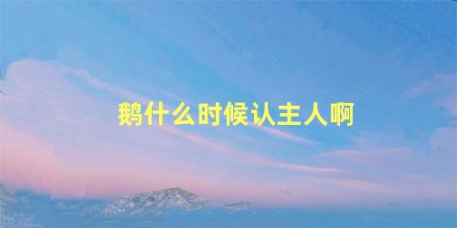 鹅什么时候认主人啊