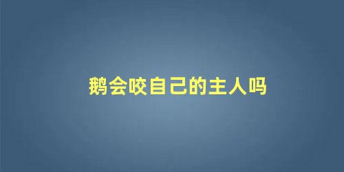 鹅会咬自己的主人吗