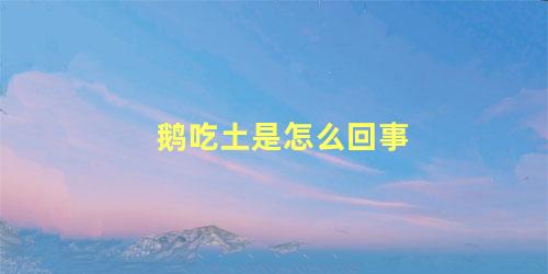 鹅吃土是怎么回事